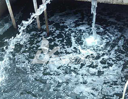 松香廢水處理技術(shù)，可以快速達標(biāo)